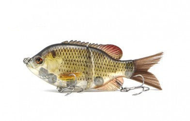 Cebo Artificial Transparente Luya Sunfish - Simulación Realista para Pesca - Image 20