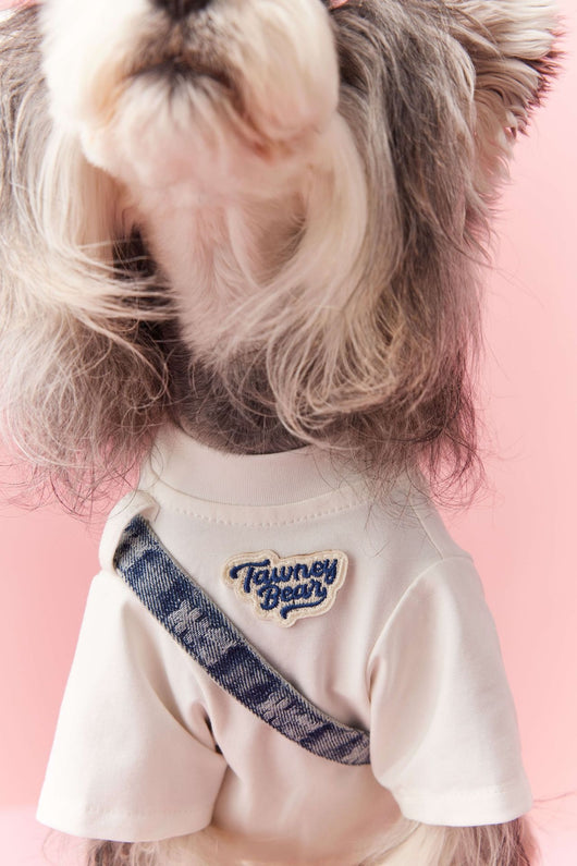 Ropa de Verano para Perros Pequeños - Teddy Schnauzer Bichón - Image 29