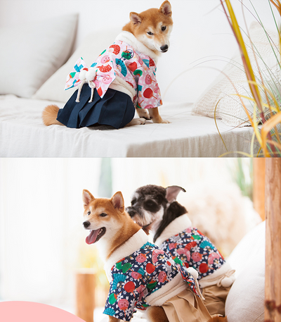 Ropa de Abrigo para Perros - Image 10