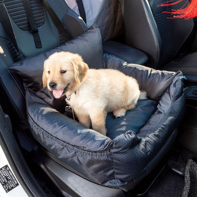 Asiento de Viaje para Mascotas - Transportín Seguro para Gatos y Perros - Image 11