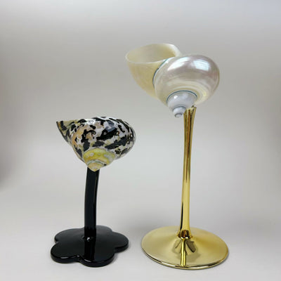Copa Aromática Concha Marina - Difusor Decorativo Elegante