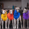Suéter Polar Cuello Alto para Perros - Abrigo Suave y Cómodo