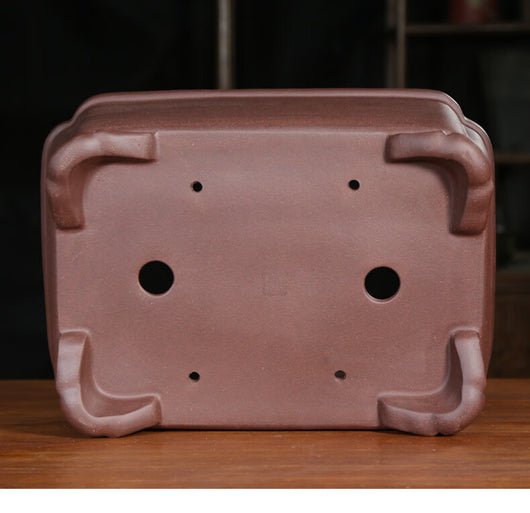 Maceta Rectangular de Arena Púrpura para Bonsái Clásico Interior y Exterior - Image 10