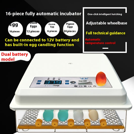 Incubadora Inteligente Automática para el Hogar - Image 7