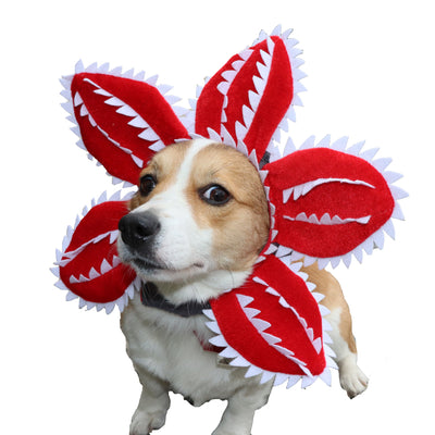 Diadema Floral Divertida para Gatos - Accesorio Cómico - Image 13