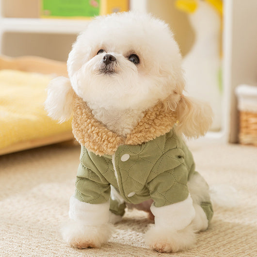 Abrigo Cálido para Perros y Gatos con Bolsillos - Ropa de Algodón para Mascotas en Otoño e Invierno - Image 11