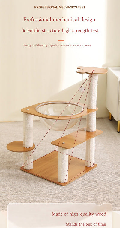 Multi-layer cat tree with a plush top bed, clear space capsule, wooden cat house, sisal scratching posts, and climbing stairs. - Image 12