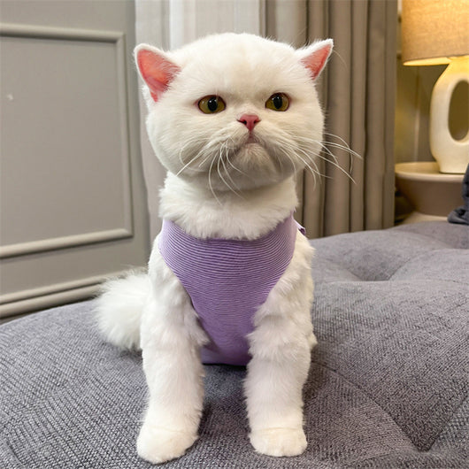 Pijama Quirúrgico para Gatos con Cierre de Cordones - Recuperación Post-operatoria - Image 27