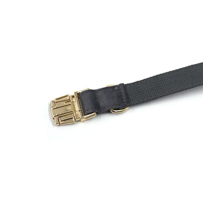 Collar para Mascotas de Terciopelo Gris Oscuro con Grabado y Hebilla Metálica - Image 4