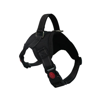 Productos Premium de Aseo para Perros Raza Satsuma - Image 3