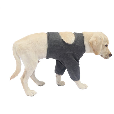 Protectores de Patas Delanteras para Perros - Doble Protección - Image 7