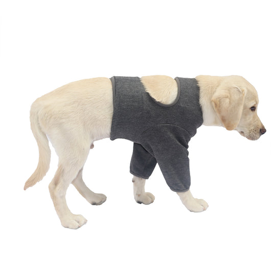 Protectores de Patas Delanteras para Perros - Doble Protección - Image 7