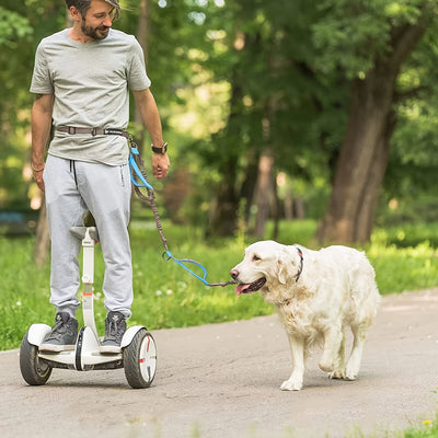 Correa Manos Libres para Perros - Cinturón Ajustable para Correr y Caminar - Image 4