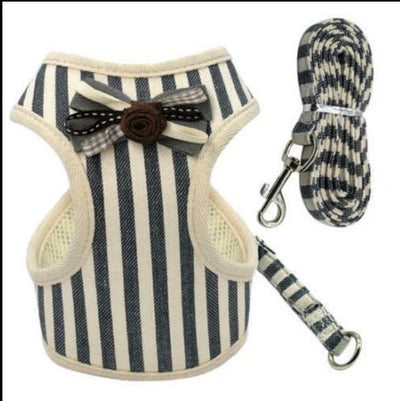 Chaleco Transpirable para Perros - Diseño Cómodo y Elegante - Image 24