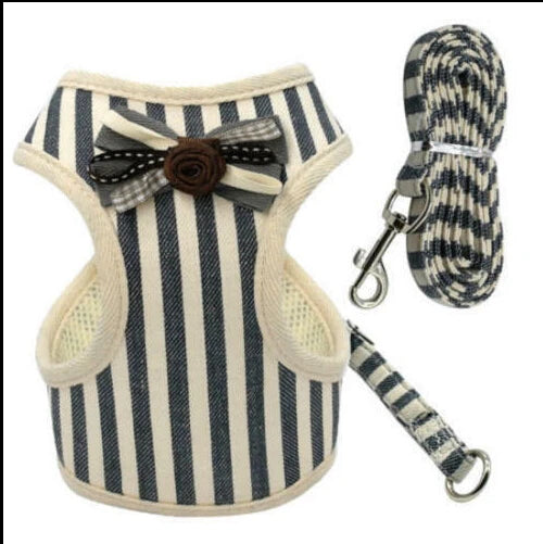 Chaleco Transpirable para Perros - Diseño Cómodo y Elegante - Image 24