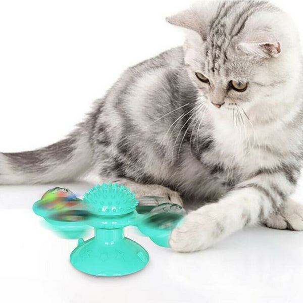 Gray tabby cat playing with a teal windmill cat toy featuring a suction cup base, textured ball, and colorful spinning paddles.