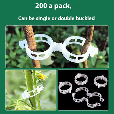 Clips de Sujeción para Plantas y Enredaderas - Image 8