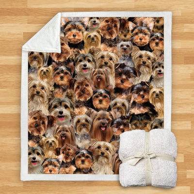 Manta de Franela Estampada para Perros de Diseño Moderno - Image 37