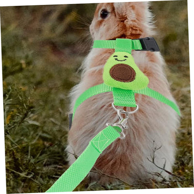 Arnés y Correa de Tracción para Mascotas Pequeñas - Seguridad y Control - Image 27
