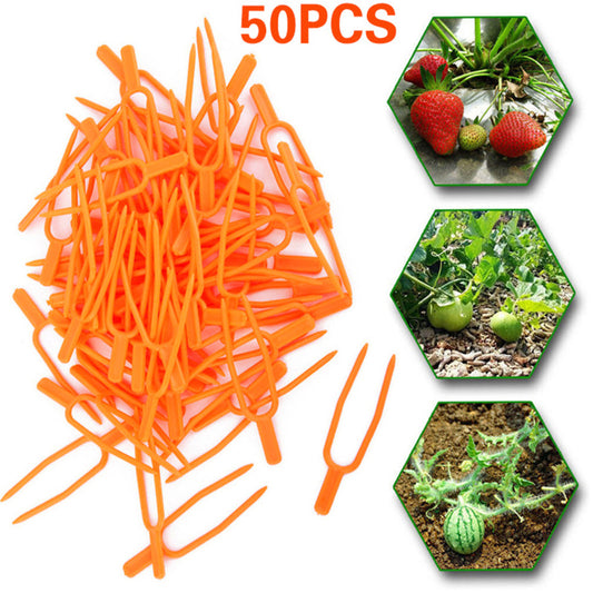 Clips Fijos para Guías de Plantas - 50 Unidades para Fresas, Sandías y Enredaderas - Image 2