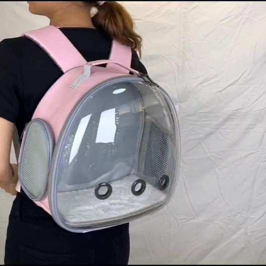 Mochila Transportadora Transparente para Mascotas Pequeñas - Hámster, Conejillo de Indias, Conejo - Image 16
