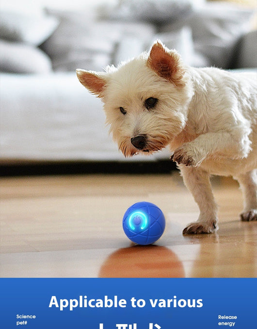 Orange pet jumping ball with a glowing purple power button icon, designed for interactive play with dogs and cats. - Image 8