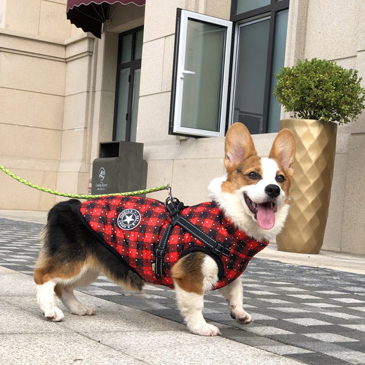 Abrigo Impermeable para Perros con Cinta Reflectante - Ropa Térmica Invierno