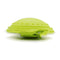 Grass Verde 120X120X55 MM
