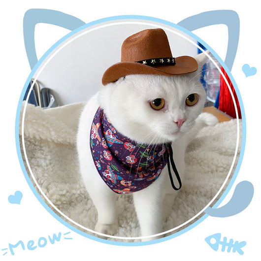 Sombrero Vaquero Británico XINGX para Gatos - Image 15