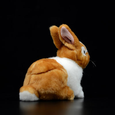 Peluche Adorable Conejo Holandés - Image 5