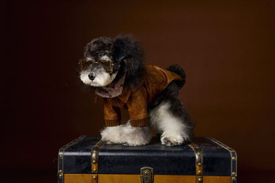 Abrigo de Cuero Retro Estampado Schnauzer Bichon - Manga Larga Unisex - Image 5