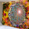 Cashmere XLLP 05 Plus 95 X 73 cm