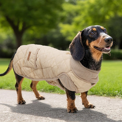 Chaleco de Algodón para Perro - Abrigo Cálido Otoño Invierno - Image 2