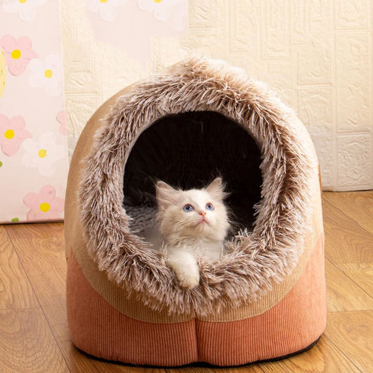 Cama Ortopédica para Perros Grandes - Colchón Térmico Lavable Invierno