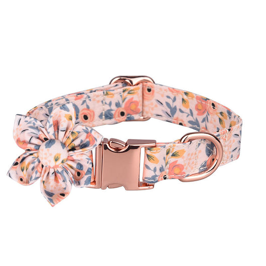 Juego de Collar y Correa Personalizado para Mascotas - Image 77