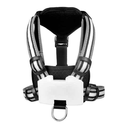 Correa Luminosa Recargable para Perros - Cuerda de Nylon Antiexplosión - Image 5
