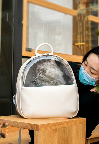 Mochila Transparente para Mascotas - Viajes Seguros para Gatos y Perros - Image 8