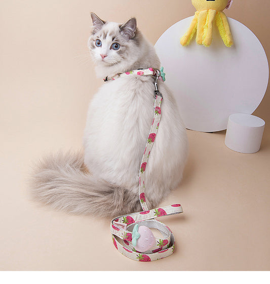 Collar y Correa para Perros con Estampado de Frutas - Colección Frutal