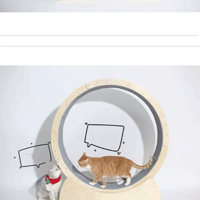 Rodillo Interactivo para Gatos - Juguete de Ejercicio - Image 5