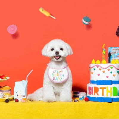 Babero Bordado para Mascotas - Pañuelo Absorbente para Perros y Gatos - Image 2
