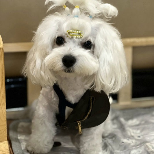 Bolsa Bandolera Pequeña para Mascotas