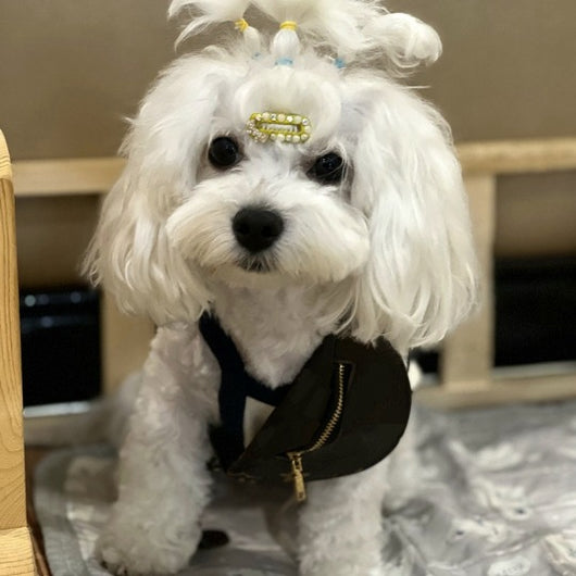 Bolsa Bandolera Pequeña para Mascotas