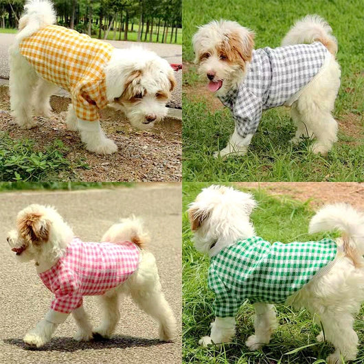 Suéter Deportivo para Perros con Cuello Alto Resistente al Viento - Image 20