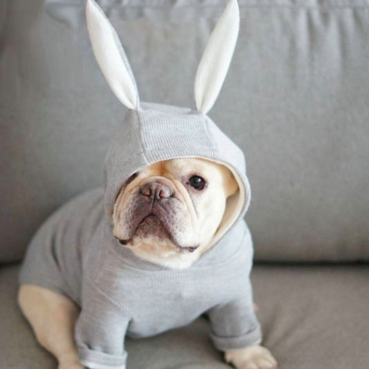 Suéter Tejido para Perro Pequeño con Orejas de Conejo
