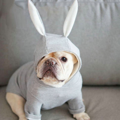 Suéter Tejido para Perro Pequeño con Orejas de Conejo