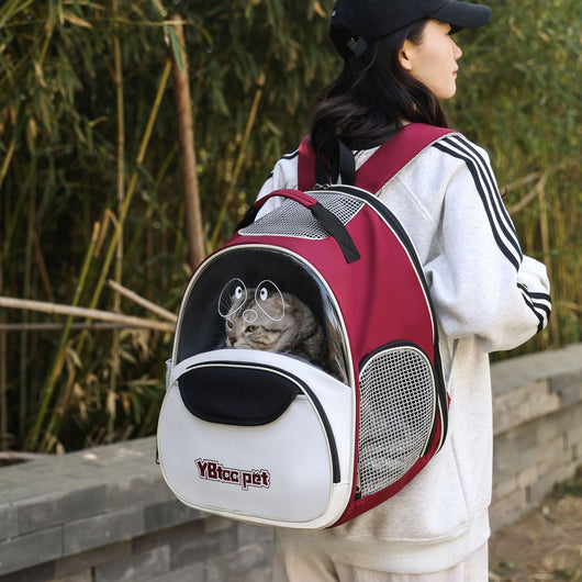 Mochila Transpirable de Gran Capacidad para Mascotas - Image 10