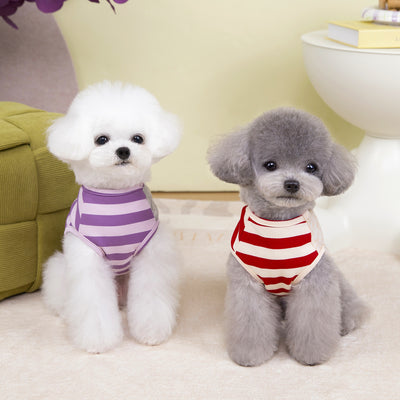 Chaleco de Moda para Mascotas - Ropa Personalizada - Image 4
