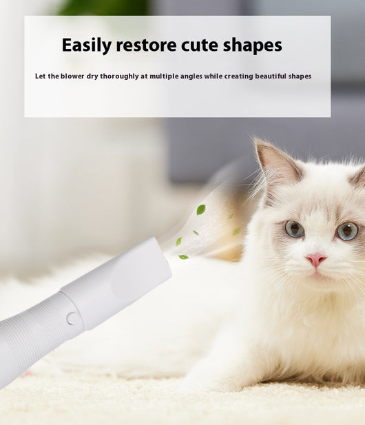 Secador Eléctrico 2 en 1 para Mascotas con Extracción de Pelo - Image 12