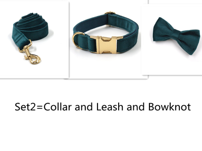 Collar y Correa para Mascotas Terciopelo Verde Esmeralda con Herrajes Dorados - Image 9