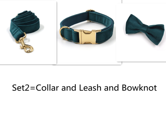 Collar y Correa para Mascotas Terciopelo Verde Esmeralda con Herrajes Dorados - Image 9